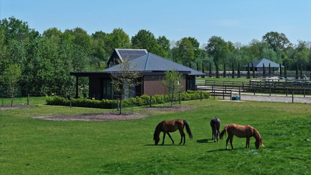 Vakantiehuisje Slagharen huren: De Bembom Sunset Lodge